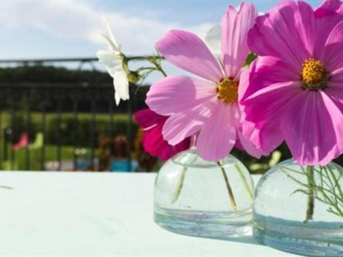 Le Clos Marie Langeais Bagian luar foto